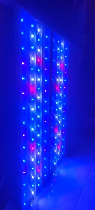 Pantallas LED Acuarios Plantados y Marino a medida