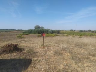 parcela 6400 metros en venta