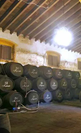 parcela terreno 6400 metros en venta