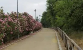 parcela terreno 6400 metros en venta