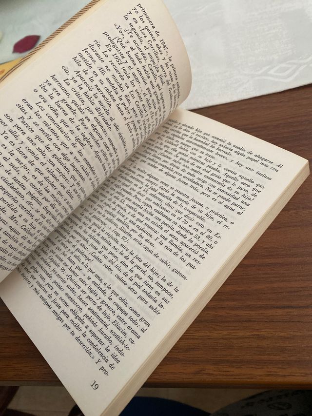 Mrs. Caldwell habla con su hijo de Camilo José Cel