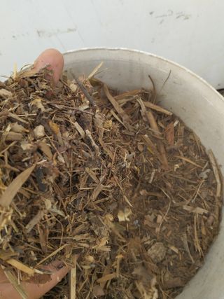 Mantillo Compost