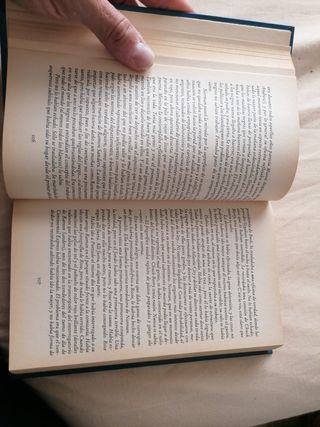 Stephen King el retrato de Roses Madder