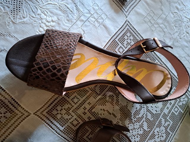 Serpiente marrón T38