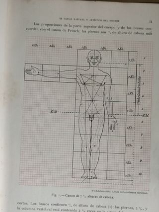 La Figura Humana en el Arte.(Para Especialistas).