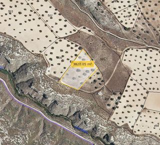 Parcela 3800m con 17 olivos en un sitio con vistas