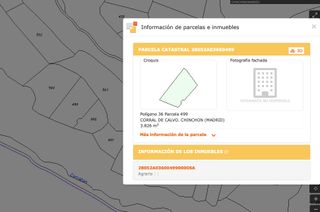 Parcela 3800m con 17 olivos en un sitio con vistas
