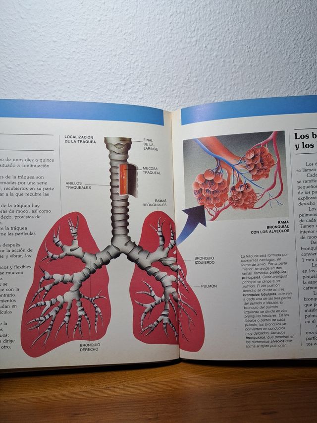 Libro el Cuerpo Humano vol. 5 y 6