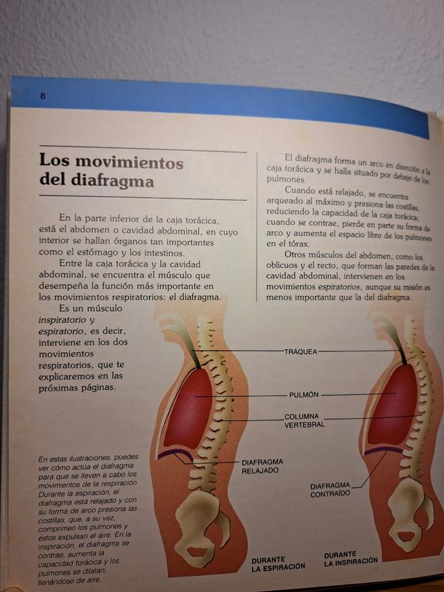 Libro el Cuerpo Humano vol. 5 y 6