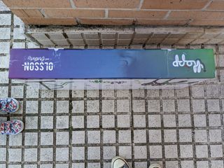 Patinete adulto o niño