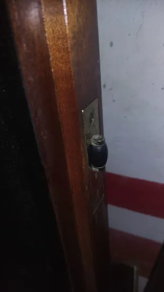 Última puerta de madera sapelly con espejo