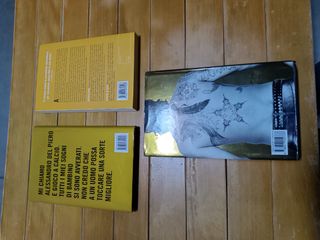 libri Del Piero Conte Ibrahimovic