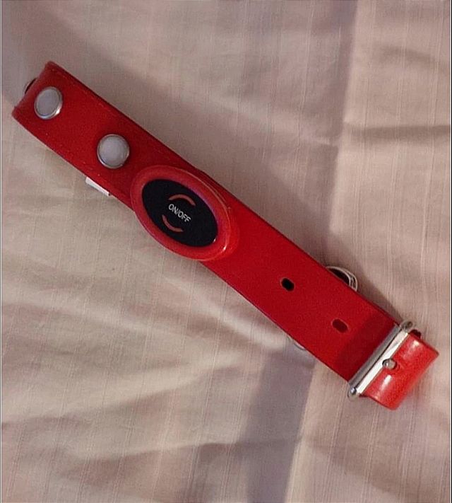 collare animali domestici luce led nuovo