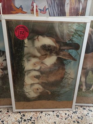 pósters varios animales