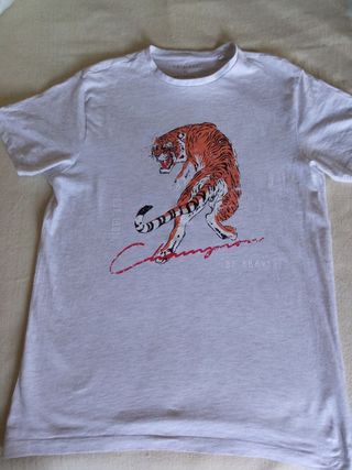 Camisetas decoradas (t)