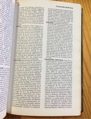 Diccionario de literatura úniversal