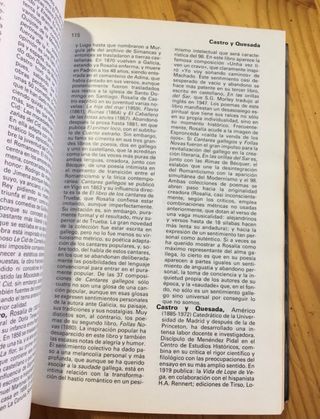 Diccionario de literatura úniversal