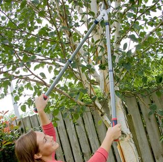 TIJERA PODAR TELESCÓPICA