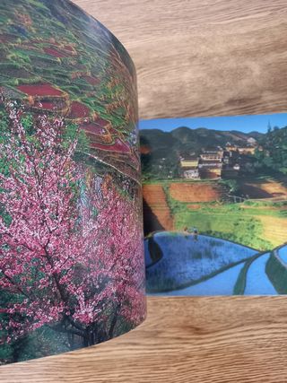 Libro del fotógrafo Li Yashi