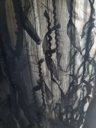 Camisa negra transparente señora manga larga