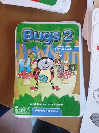 Flashcards y word cards Bugs 2.