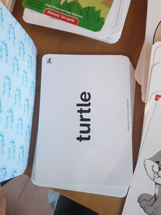 Flashcards y word cards Bugs 2.