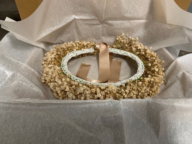 Corona de paniculata