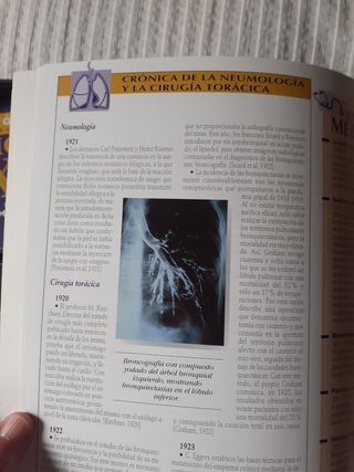 Crónica a través del siglo XX