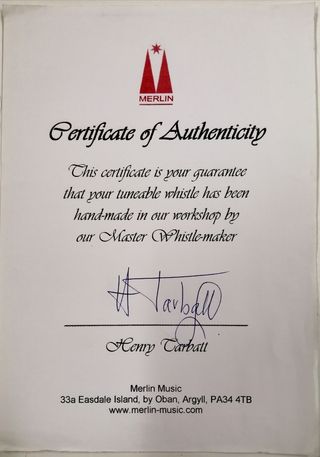 Violin 4/4 Gliga Maestro