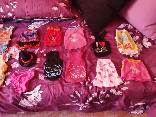 ropita de perrita pequeña