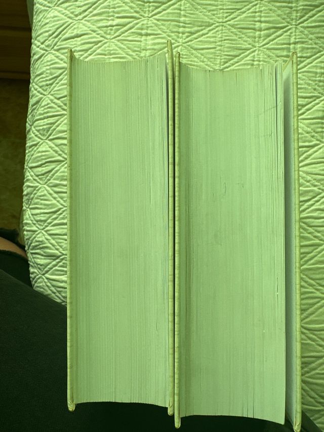 Diccionario de la Real Academia Lengua Española