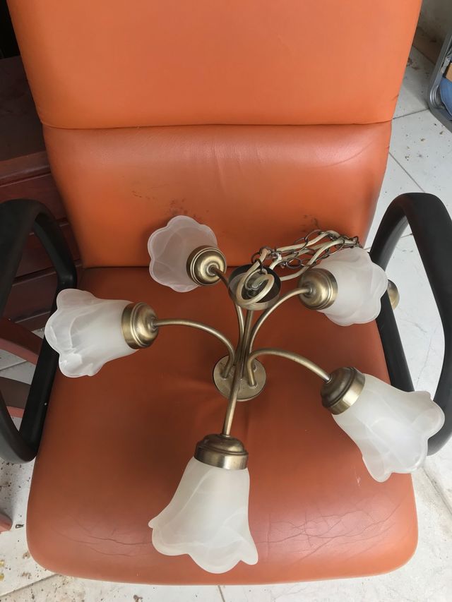 Lámpara de tulipanes