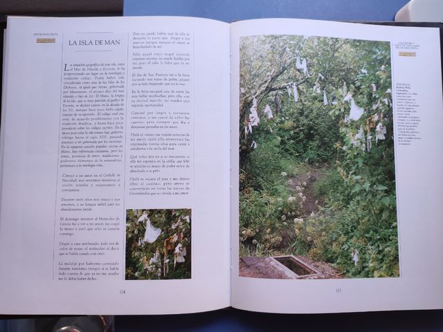 Libro “Mitología celta” de David Bellingham