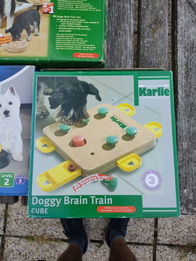 juegos para perro