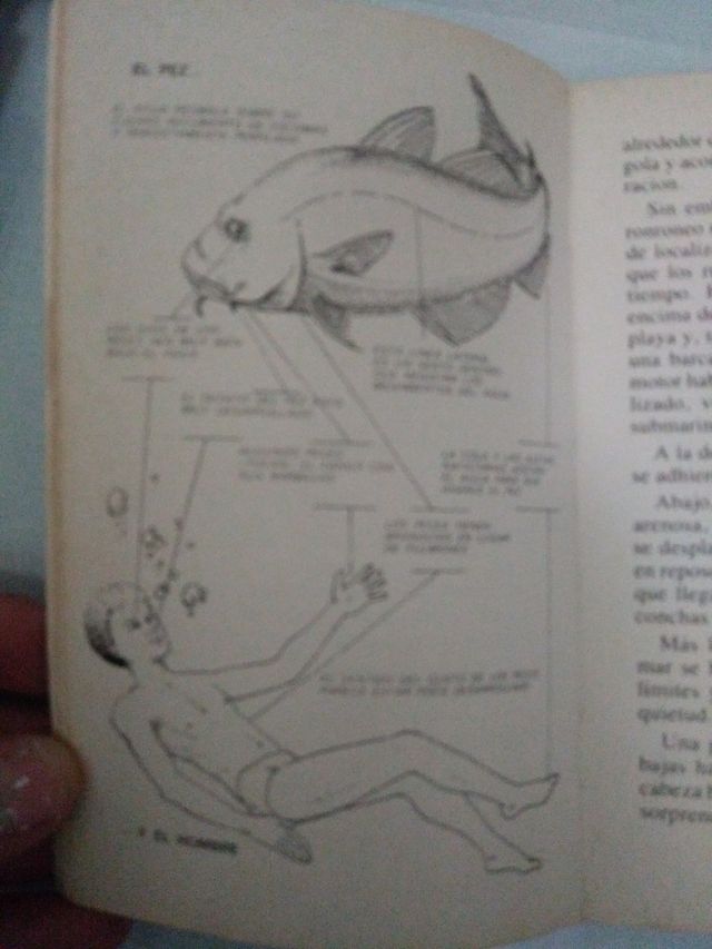 Los secretos del mar de Cousteau y otro