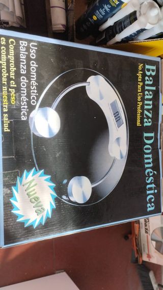 Balanza Doméstica