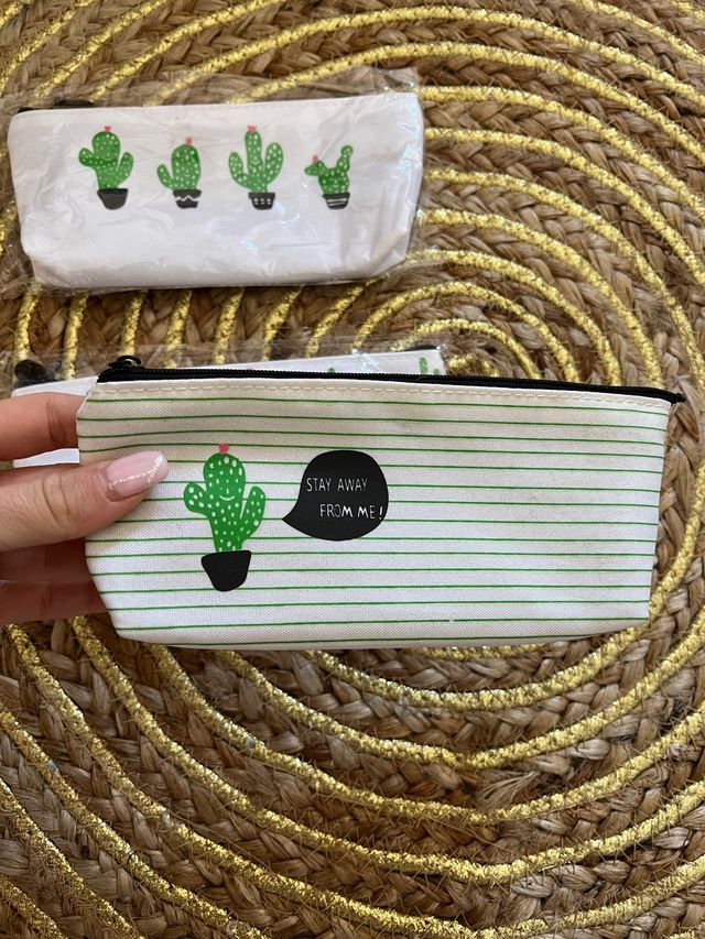 3 estuches + cojín cactus