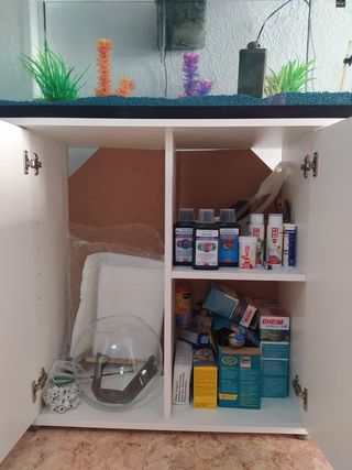Acuario 100litros