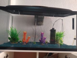 Acuario 100litros