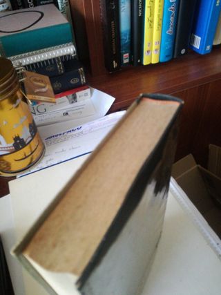 Novela temática conflicto árabe israelí