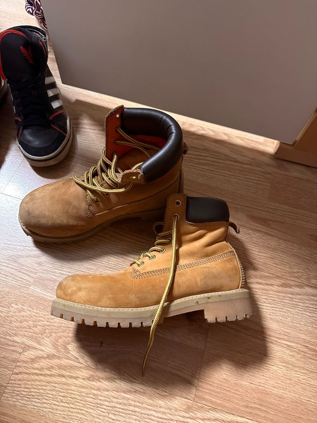 Timberland zapatillas