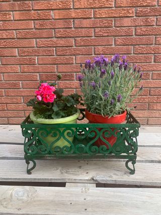 JARDINERA MACETERO PLANTAS DISPONIBLE!!