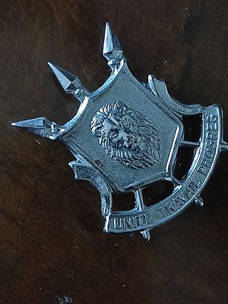 Insignia Placa Policía África uniforme 
