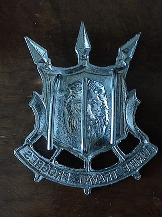 Insignia Placa Policía África uniforme 