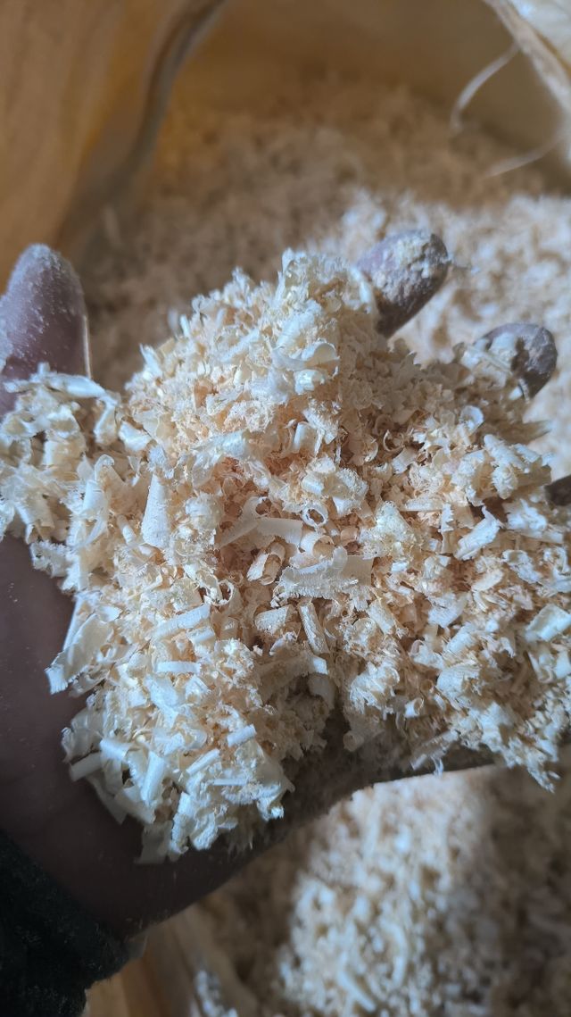 Rizo de madera para animales