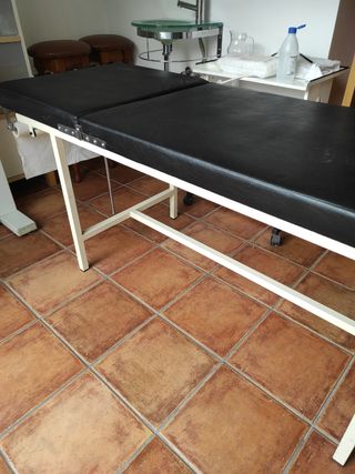 Camilla profesional Oportunidad