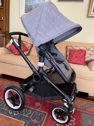 Bugaboo fox