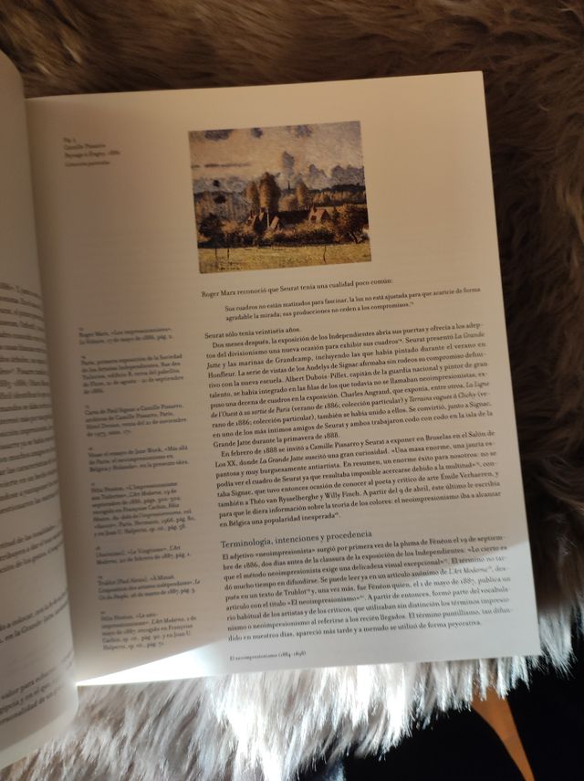 libro neoimpresionismo