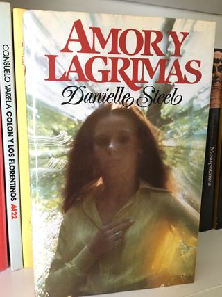DANIELLE STEEL. Libros.