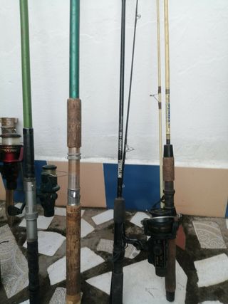 Cañas de pescar 